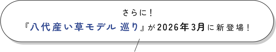 『八代産い草モデル巡り』が2026年3月に新登場！