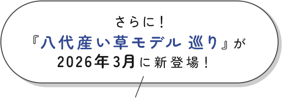 『八代産い草モデル巡り』が2026年3月に新登場！