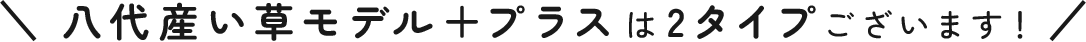 八代産い草モデル＋プラスは2タイプございます！
