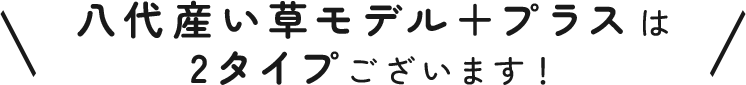 八代産い草モデル＋プラスは2タイプございます！