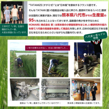 足ゆび運動ぞうり 八代産い草モデル +プラス では熊本県八代市がその生産量の95％を占めることとなっております