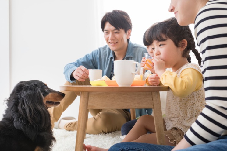【フードドライヤー】おすすめの活用方法